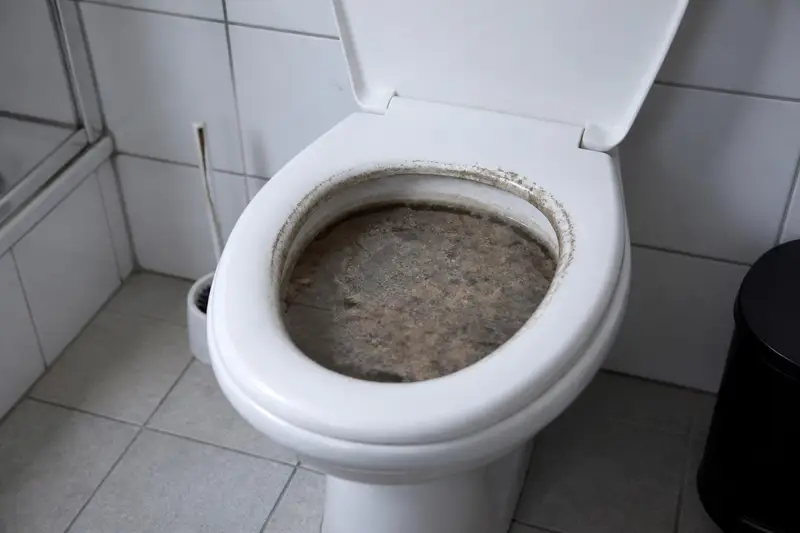Vorher: Verstopftes WC